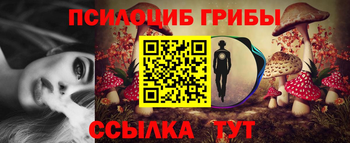 Галлюциногенные грибы ЛСД Кувандык